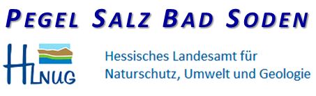 Logo HLUG Pegel Salz Bad Soden 2020 001
