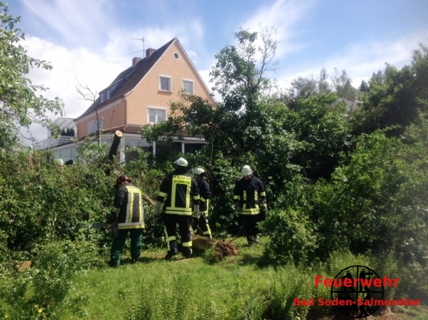 2014 05 11 - Einsatz - Baum auf Strasse - Salmuenster_7