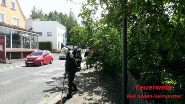 2014 05 11 - Einsatz - Baum auf Strasse - Salmuenster_8