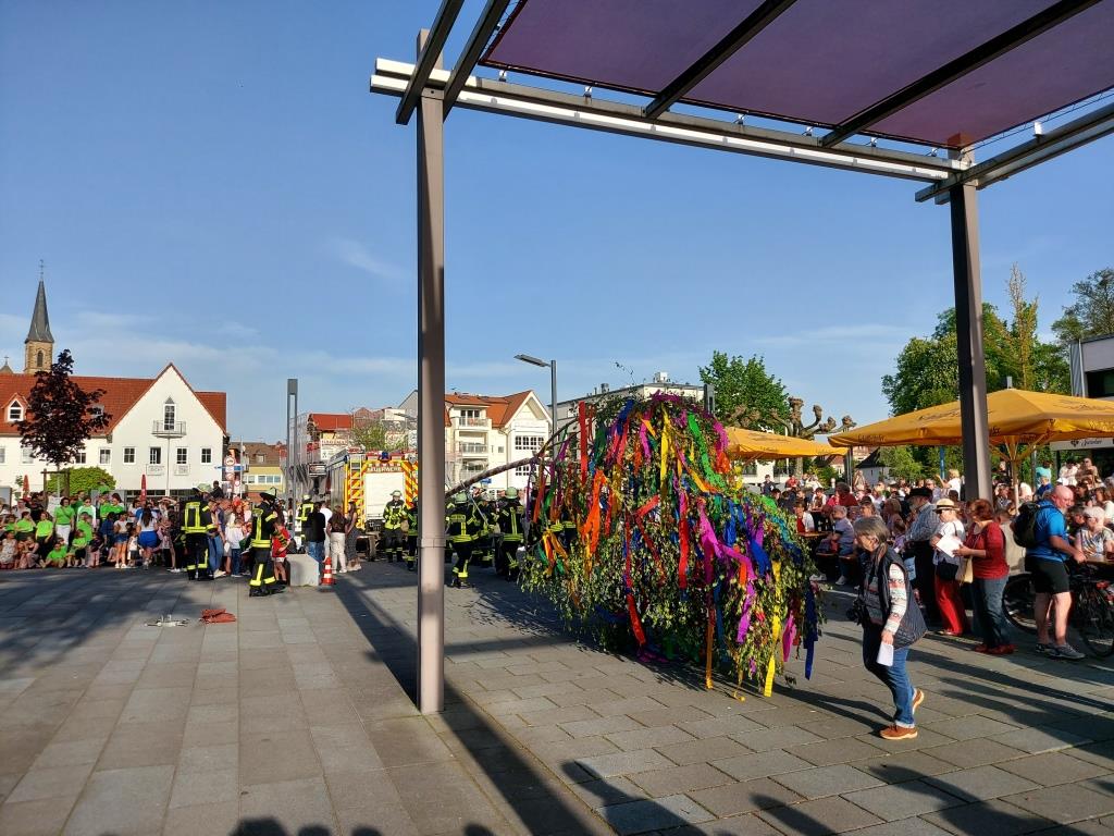 FF Bad Soden Maibaum Aufstellen 2024 012