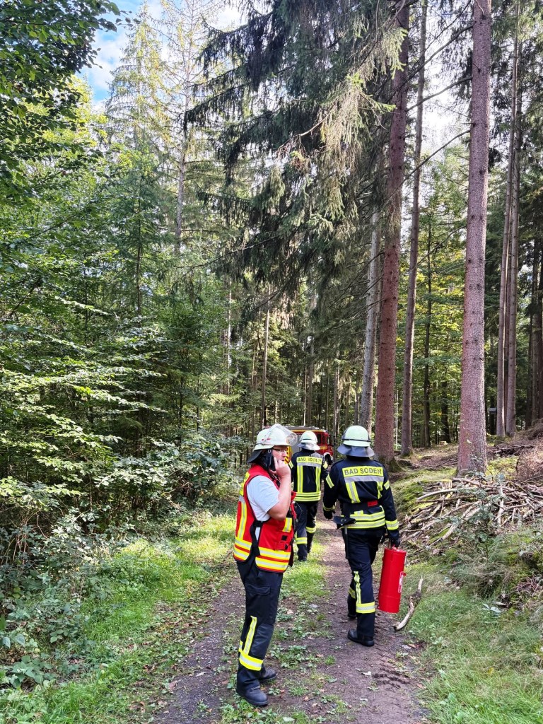 2026 10 04 FF Bad Soden Einsatz Kleinbrand Wildpark 2026 003