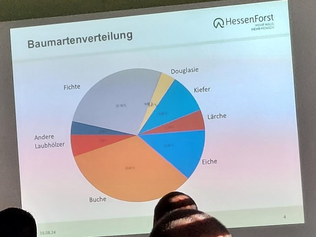 FF MKK Fb Seminar Wald und Vegetationsbrand 2024 002
