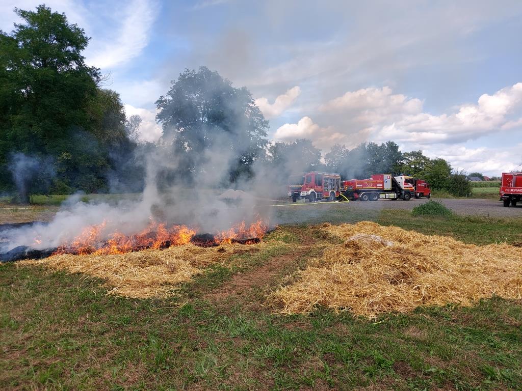 FF MKK Fb Seminar Wald und Vegetationsbrand 2024 048
