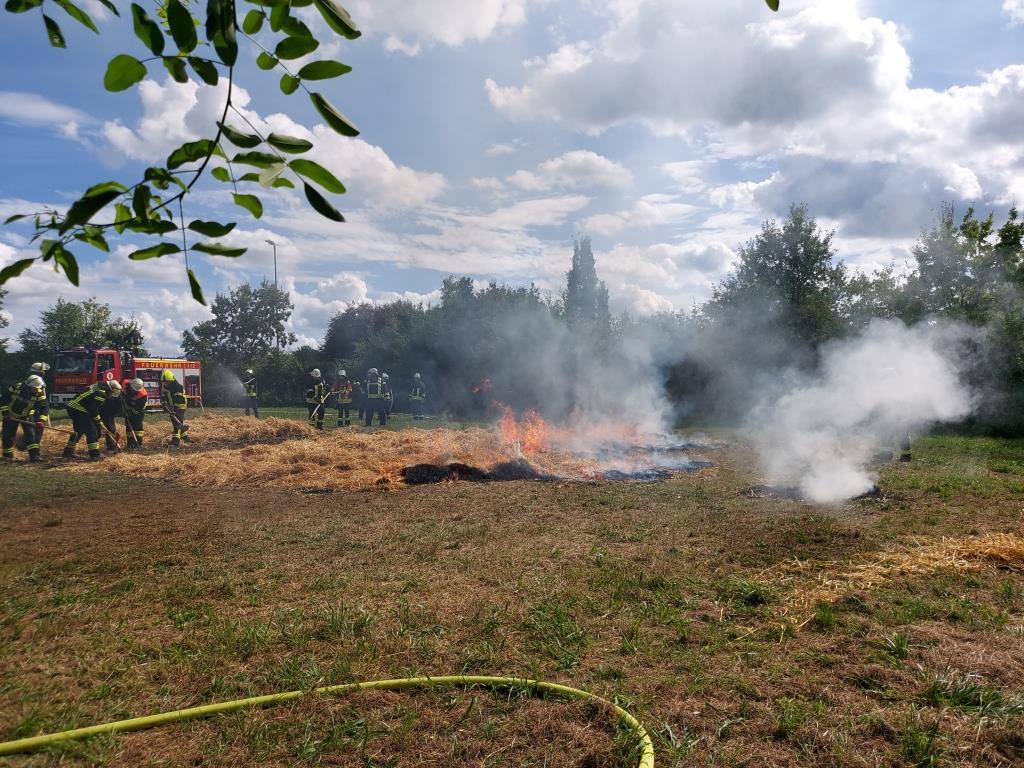 FF MKK Fb Seminar Wald und Vegetationsbrand 2024 050