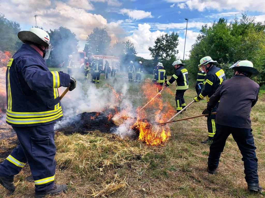 FF MKK Fb Seminar Wald und Vegetationsbrand 2024 051