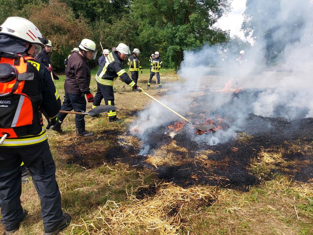 FF MKK Fb Seminar Wald und Vegetationsbrand 2024 054