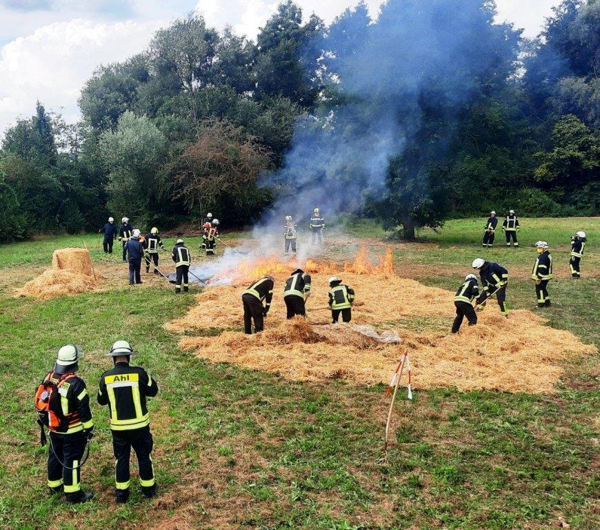 FF MKK Fb Seminar Wald und Vegetationsbrand 2024 070
