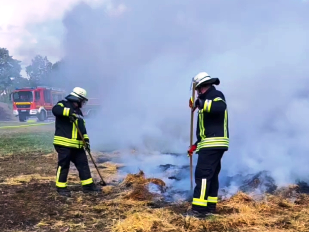 FF MKK Fb Seminar Wald und Vegetationsbrand 2024 081