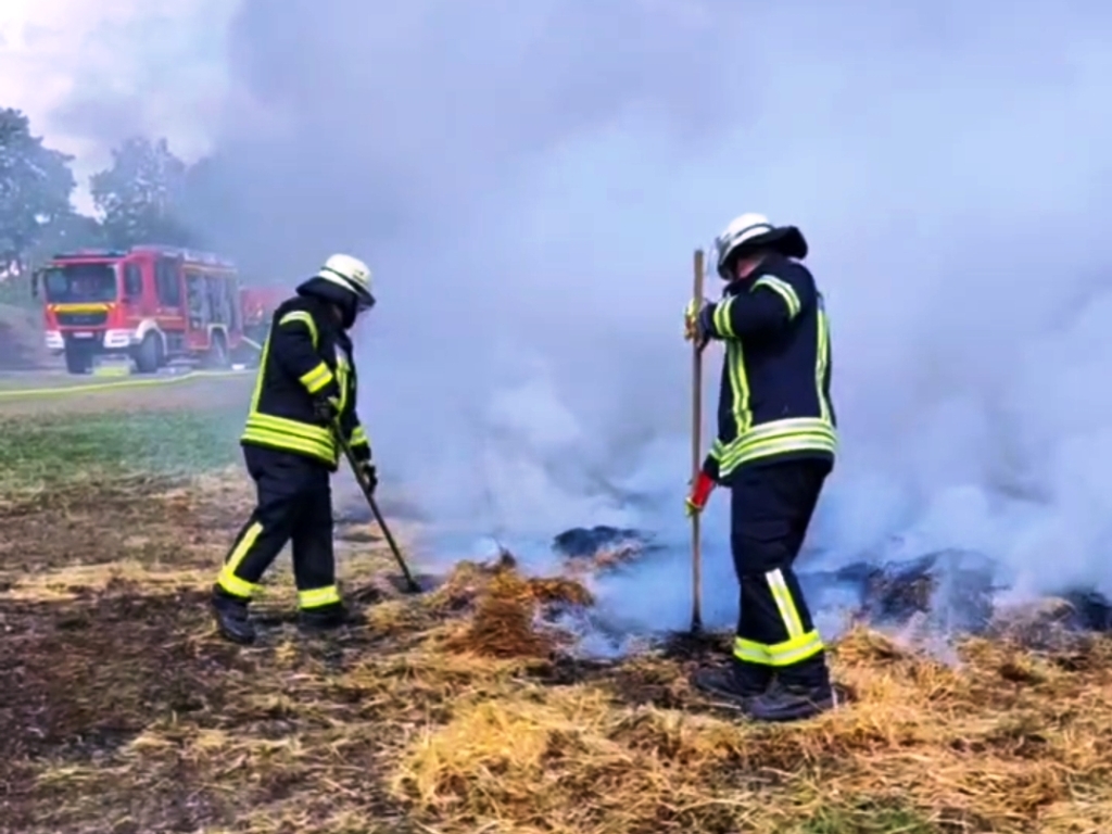 FF MKK Fb Seminar Wald und Vegetationsbrand 2024 082